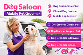 Best dog groomers in glen marais